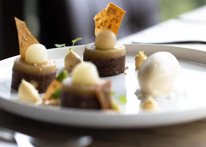 酒店 克莱恩大使酒店