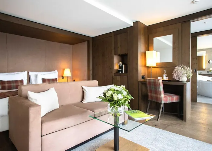 克莱恩大使酒店 酒店 克莱恩 蒙塔纳