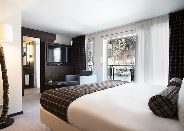 克莱恩大使酒店 5*