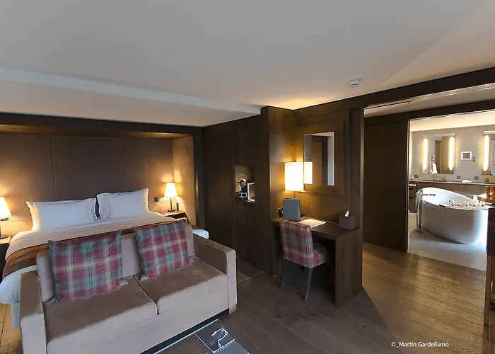 克莱恩大使酒店 酒店