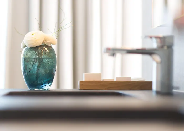 克莱恩大使酒店 克莱恩 蒙塔纳