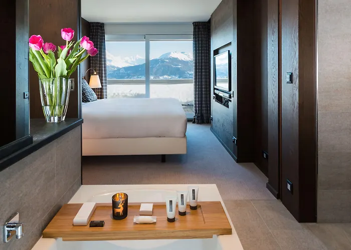 克莱恩大使酒店 5*