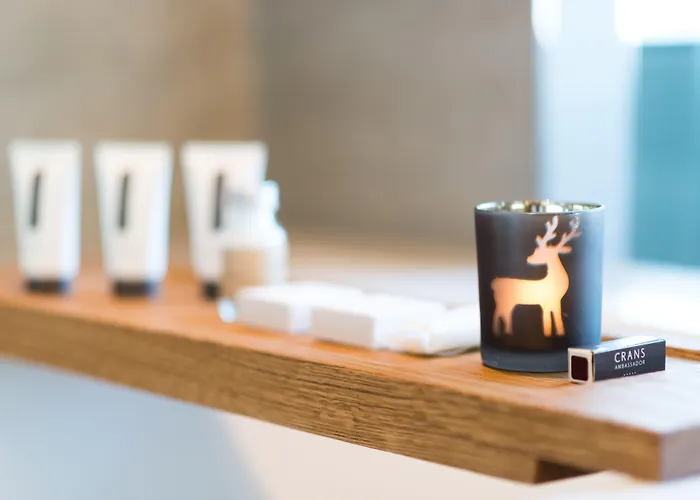 克莱恩大使酒店 5*