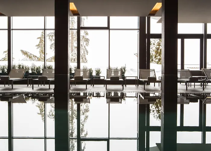 克莱恩大使酒店 克莱恩 蒙塔纳