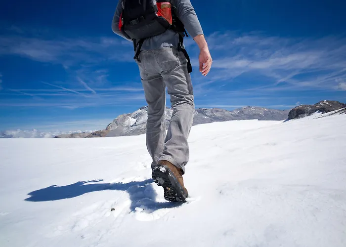 克莱恩大使酒店 克莱恩 蒙塔纳
