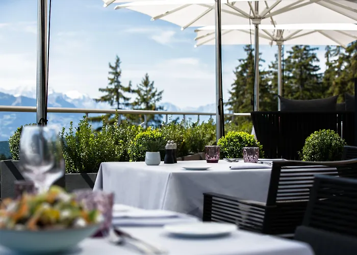 酒店 克莱恩大使酒店