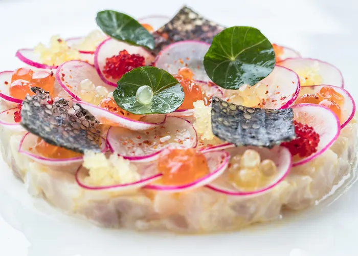 克莱恩大使酒店 酒店 克莱恩 蒙塔纳