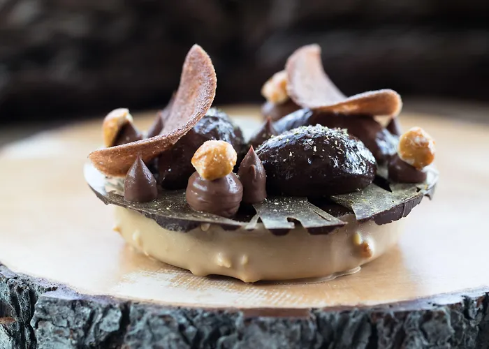 克莱恩大使酒店 酒店