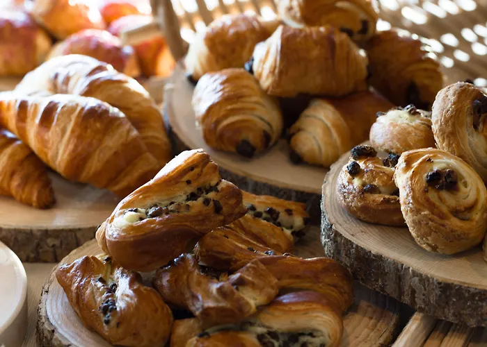 酒店 克莱恩大使酒店 克莱恩 蒙塔纳