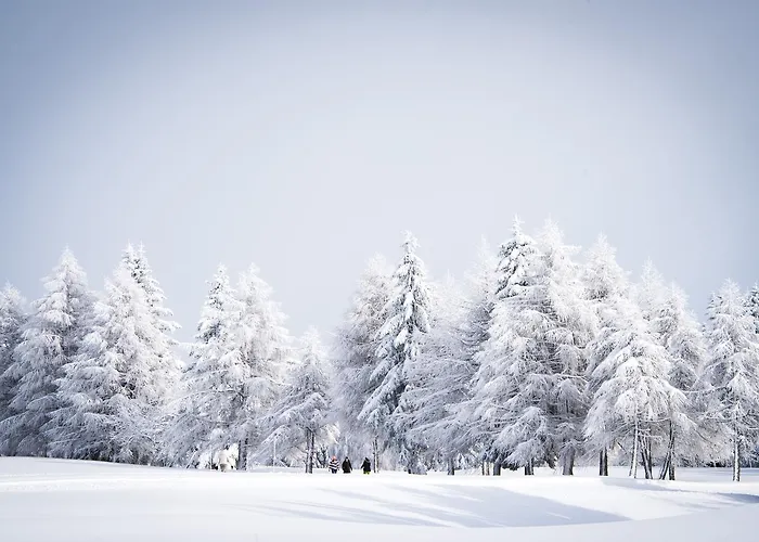 酒店 克莱恩大使酒店